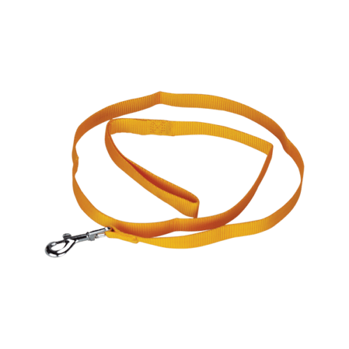 fl8713_l_2 Fancy Pets - Correa para Perros de Nylon Tamaño Chico
