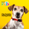 Fancy Pets - Collar para Perros Reflejante Ultra Grip CH