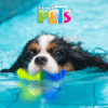 Fancy Pets - Juguete Refrescante para Perro Hueso Congelable Cool