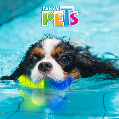 Fancy Pets - Juguete Refrescante para Perro Hueso Congelable Cool