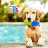fl8791_m1_2 Fancy Pets - Juguete Refrescante para Perro Pez Congelable Cool