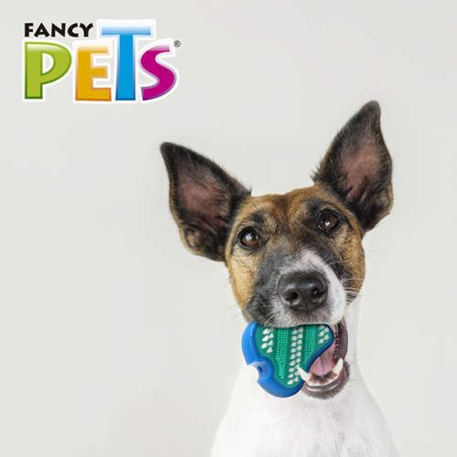 Fancy Pets - Juguete Dental para Perro Filete con Cerdas para el Cuidado de sus Dientes
