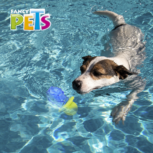 fl9453_m_3 Fancy Pets - Juguete Refrescante para Perro Chupón Congelable