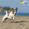 Fancy Pets - Juguete Refrescante para Perros Tronco Congelable Cool