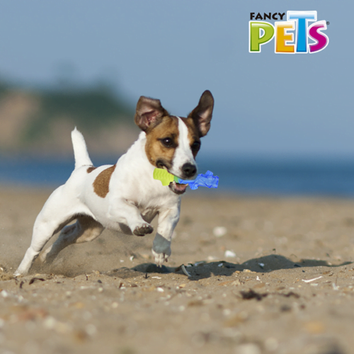 Fancy Pets - Juguete Refrescante para Perros Tronco Congelable Cool