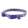 Collar para Perros aqua pop
