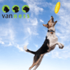 Van Ness - Juguete para Perros Frisbee de Plástico