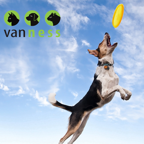 frisbie2 Van Ness - Juguete para Perros Frisbee de Plástico