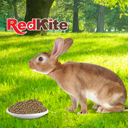 Redkite - Alimento para Conejo 1 kg