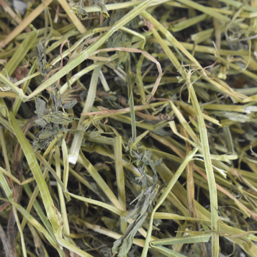 Redkite - Heno de Alfalfa para Pequeños Mamíferos 500 gr