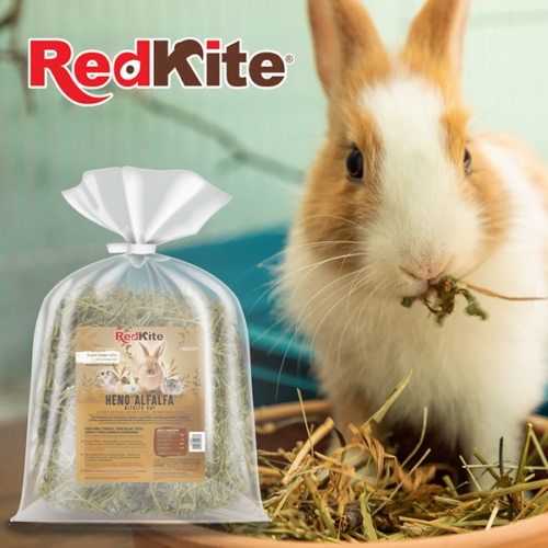Redkite - Heno de Alfalfa para Pequeños Mamíferos 500 gr