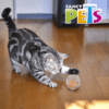 Fancy Pets - Juguete para Gatos Pelota Enjaulada Sound