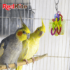 Redkite - Juguete con Calcio para Aves