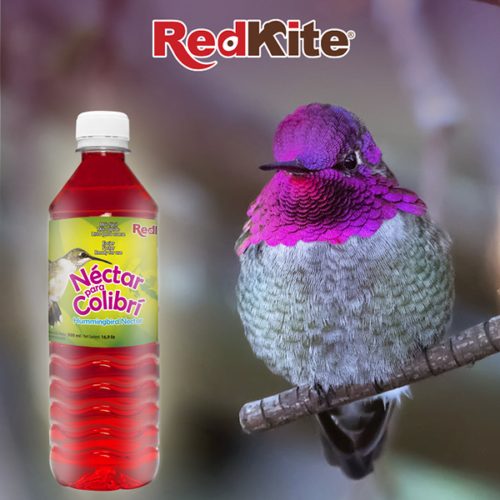 Néctar Liquido Para Colibrí 500 ml - Redkite