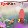 Redkite - Bebedero Tulipán para Colibrí 90 ml