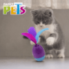 Fancy Pets -Juguete para Gatos Huevo Mágico con Catnip
