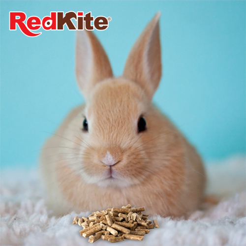 Redkite - Alimento para Conejo 1.2 kg