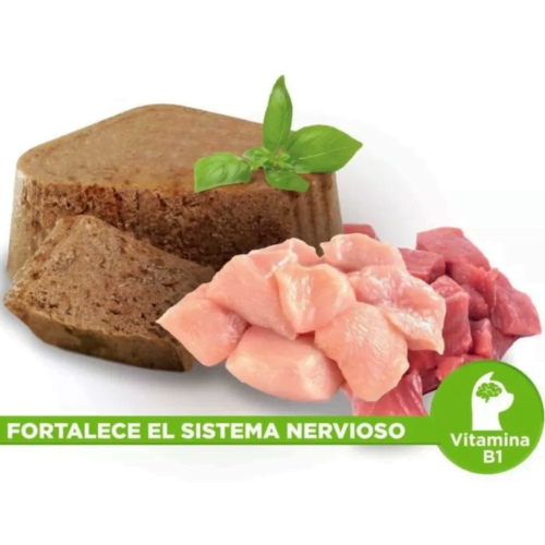 Nupec - Alimento Húmedo para Gatos Felino Indoor