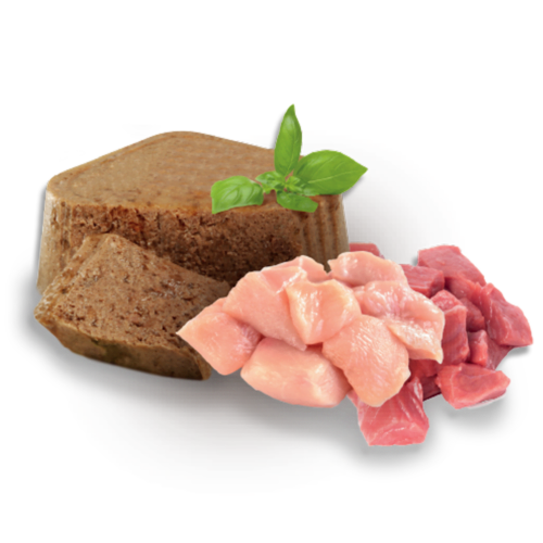 Nupec - Alimento Húmedo para Gatos Felino Kitten