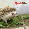 Redkite - Alimento para Hurón y Erizos Larva Natural 30gr