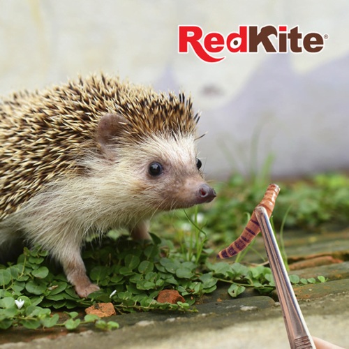 Redkite - Alimento para Hurón y Erizos Larva Natural 30gr