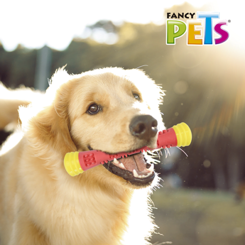 Fancy Pets - Juguete para Perros Vara Magica Chew