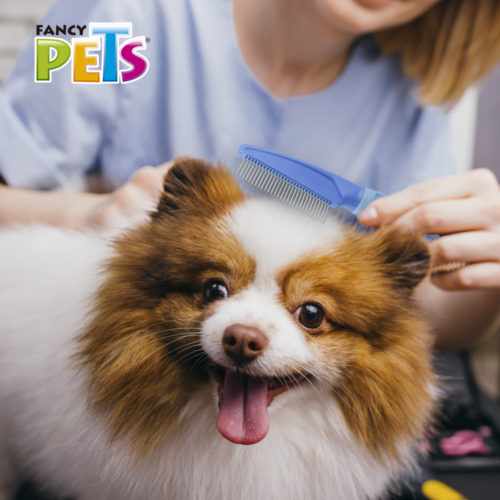 Fancy Pets - Peine Desenredante de Metal para Cepillar y Eliminar Nudos