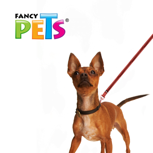 Fancy Pets - Correa para Perros XCH con Ultra Grip y Bandas Reflejantes Color Rojo