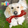 Fancy Pets - Juguete para Perro Hueso Largo Xtreme Color Rojo