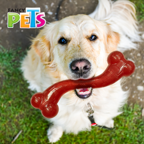 Fancy Pets - Juguete para Perro Hueso Largo Xtreme Color Rojo