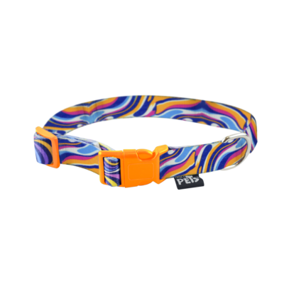 Fancy Pets - Collar para Perros Galería Color Mix