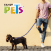 Fancy Pets - Correa para Perros Aqua Pop Galería