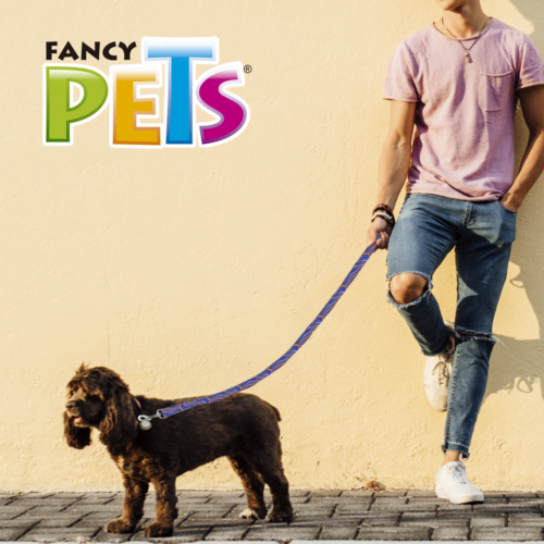 Fancy Pets - Correa para Perros Aqua Pop Galería