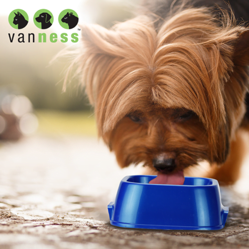 Van Ness - Plato para Perros Multifuncional 473 ml