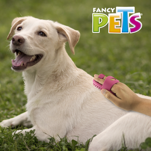 fl8352_m_3 Fancy pets - Carda para Perros Removedor de Pelo de Goma