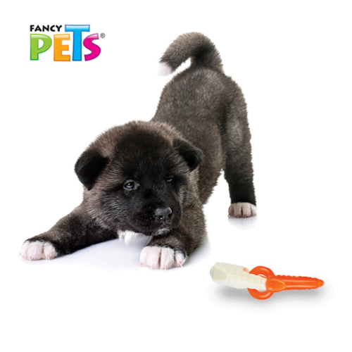 fl8759_m_2 Fancy Pets - Juguete para perro Hueso Dental con Alita Entrelazado