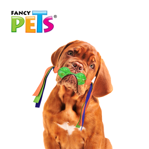 fl9302_m_2 Fancy Pets - Juguete para Perro Pesa con Cintas