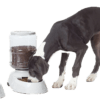 Sunny - Dispensador de Agua con Garrafon para Perros
