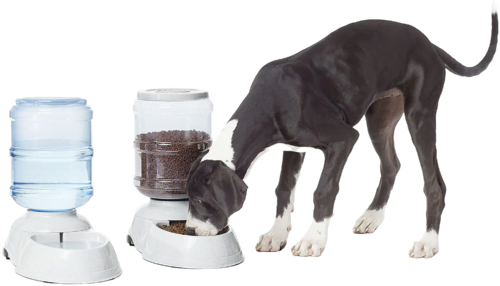 816HYMI06cL._AC_SL1500_ Sunny - Dispensador de Agua con Garrafon para Perros