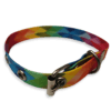 Collar para Gatos Tamaño Chico de Colores