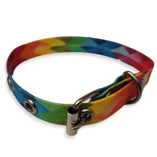 Collar para Gatos Tamaño Chico de Colores