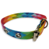 Collar para Gatos Tamaño Chico de Colores