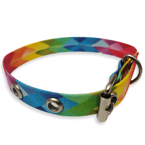 Collar para Gatos Tamaño Chico de Colores