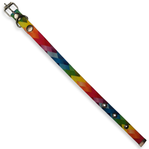 Collar para Gatos Tamaño Chico de Colores