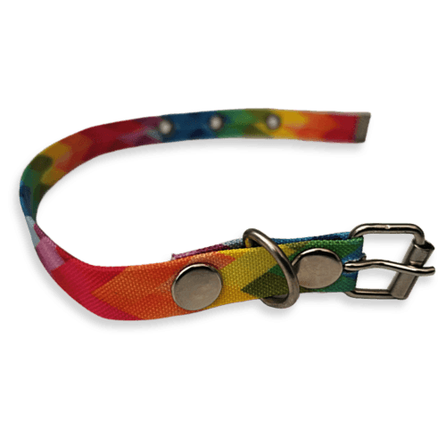 Collar para Gatos Tamaño Chico de Colores