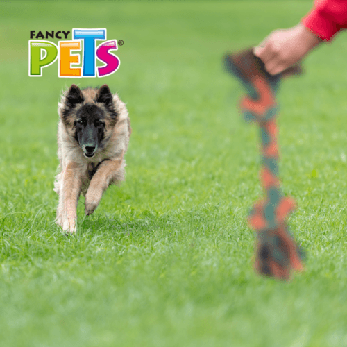 Hueso de hilo juguete para perro, fabricado de algodón, ideal para morder, permite limpiar las piezas dentales de su mascota.