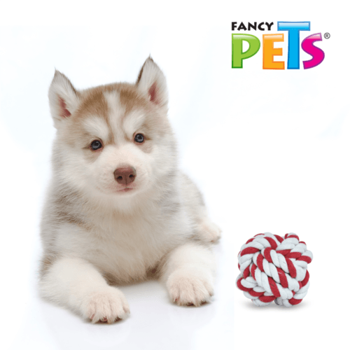 Bola de hilo para perros