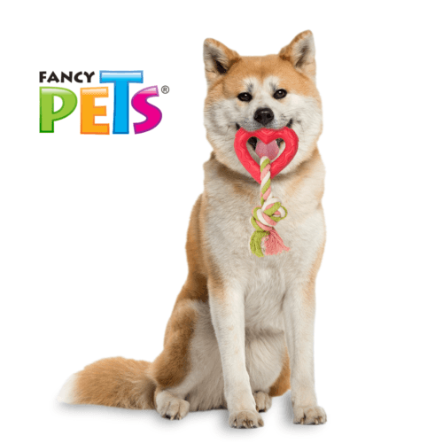 Juguete de caucho que posee dos texturas para una doble de diversión. Masajea las encías y ayuda a promover la buena salud dental. Ideal para cachorros y perros de raza pequeña