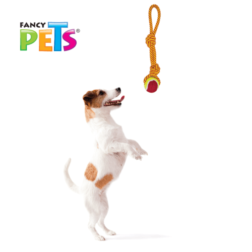 Juguete para perro cuerda de 35 cm de largo en forma de lazo con dos nudos y pelota de tenis, Juguete de hilo elaborado con materiales que resisten jalones y mordidas, con cuerda tejida y anudada y pelota de tenis que invitan al perro a mordisquear.