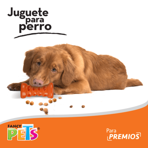 Fancy Pets - Juguete para Perros Cilindro para premios